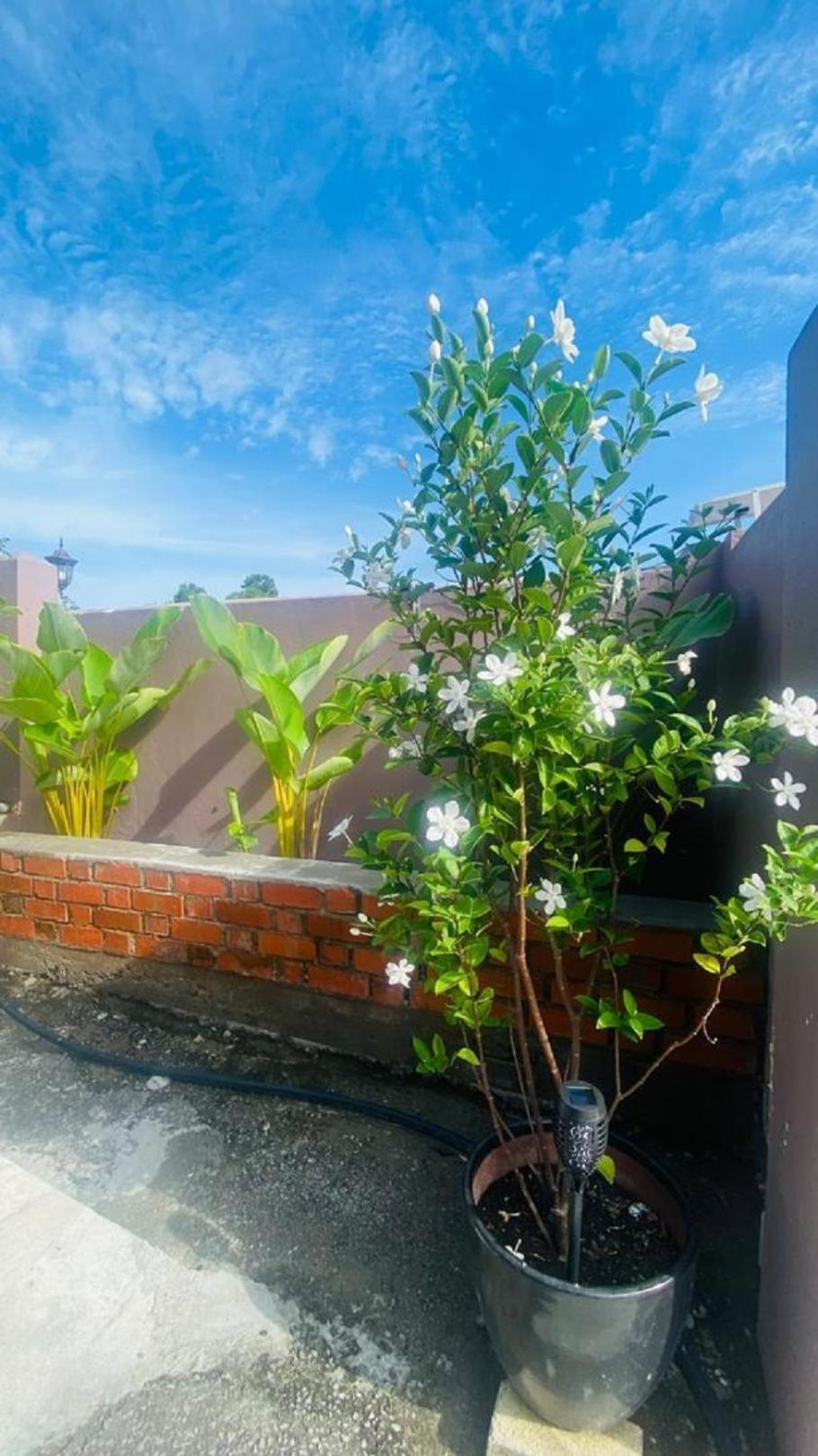 קואה Motel Seri Mutiara מראה חיצוני תמונה